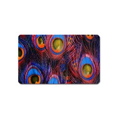 Pretty Peacock Feather Magnet (name Card) by Ket1n9