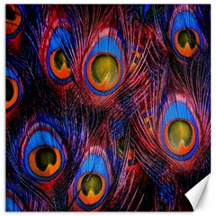 Pretty Peacock Feather Canvas 20  X 20  by Ket1n9