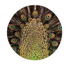 Peacock Feathers Wheel Plumage Mini Round Pill Box (pack Of 5) by Ket1n9