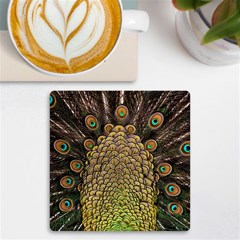 Peacock Feathers Wheel Plumage Uv Print Square Tile Coaster  by Ket1n9