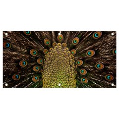 Peacock Feathers Wheel Plumage Banner And Sign 4  X 2  by Ket1n9