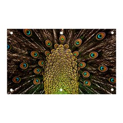 Peacock Feathers Wheel Plumage Banner And Sign 5  X 3  by Ket1n9