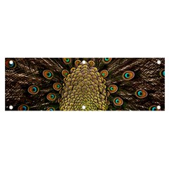 Peacock Feathers Wheel Plumage Banner And Sign 6  X 2  by Ket1n9