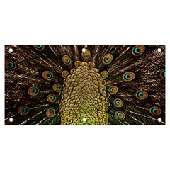 Peacock Feathers Wheel Plumage Banner And Sign 6  X 3  by Ket1n9