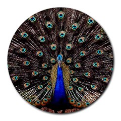 Peacock Round Mousepad by Ket1n9