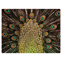 Peacock Feathers Wheel Plumage Two Sides Premium Plush Fleece Blanket (extra Small)