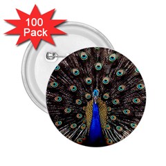 Peacock 2 25  Buttons (100 Pack)  by Ket1n9