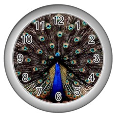 Peacock Wall Clock (silver) by Ket1n9