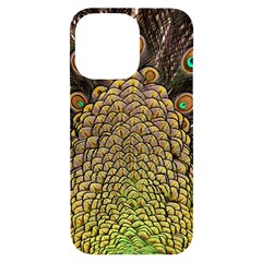 Peacock Feathers Wheel Plumage Iphone 14 Pro Max Black Uv Print Case by Ket1n9