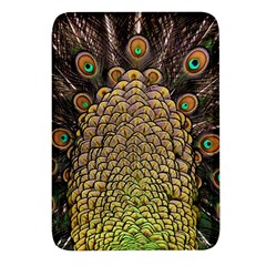 Peacock Feathers Wheel Plumage Rectangular Glass Fridge Magnet (4 Pack) by Ket1n9