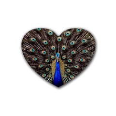 Peacock Rubber Heart Coaster (4 Pack) by Ket1n9