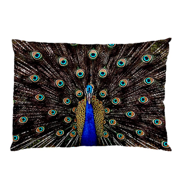 Peacock Pillow Case