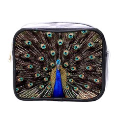 Peacock Mini Toiletries Bag (one Side) by Ket1n9