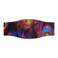 Pretty Peacock Feather Stretchable Headband by Ket1n9