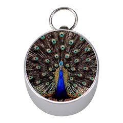 Peacock Mini Silver Compasses by Ket1n9