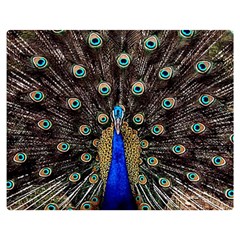 Peacock Two Sides Premium Plush Fleece Blanket (medium) by Ket1n9