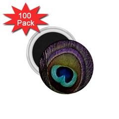 Peacock Feather 1 75  Magnets (100 Pack)  by Ket1n9