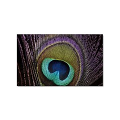 Peacock Feather Sticker (rectangular) by Ket1n9