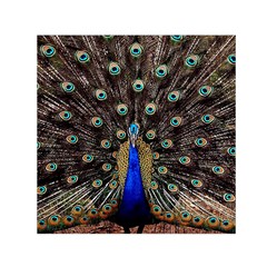 Peacock Square Satin Scarf (30  X 30 ) by Ket1n9