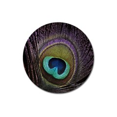 Peacock Feather Magnet 3  (round) by Ket1n9