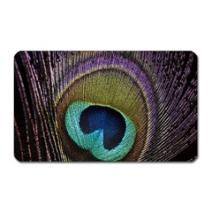 Peacock Feather Magnet (rectangular) by Ket1n9