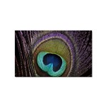 Peacock Feather Sticker Rectangular (10 pack) Front