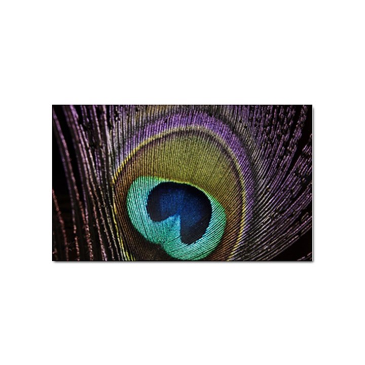 Peacock Feather Sticker Rectangular (10 pack)