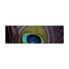 Peacock Feather Sticker Bumper (100 Pack) by Ket1n9