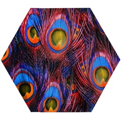 Pretty Peacock Feather Wooden Puzzle Hexagon by Ket1n9