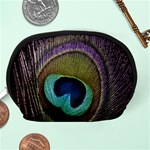 Peacock Feather Accessory Pouch (Medium) Back