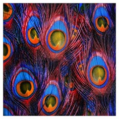 Pretty Peacock Feather Lightweight Scarf  by Ket1n9