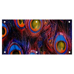 Pretty Peacock Feather Banner And Sign 6  X 3  by Ket1n9