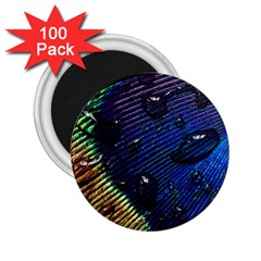 Peacock Feather Retina Mac 2 25  Magnets (100 Pack)  by Ket1n9