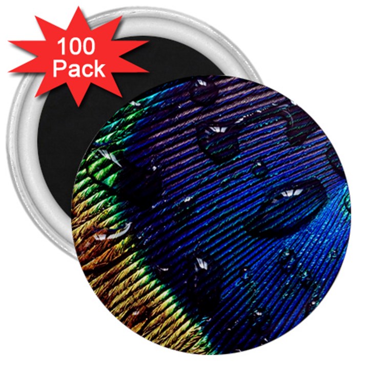 Peacock Feather Retina Mac 3  Magnets (100 pack)