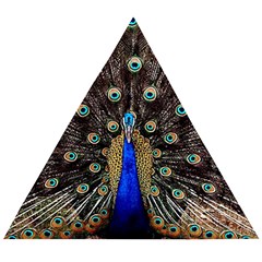 Peacock Wooden Puzzle Triangle