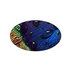 Peacock Feather Retina Mac Sticker Oval (100 Pack) by Ket1n9