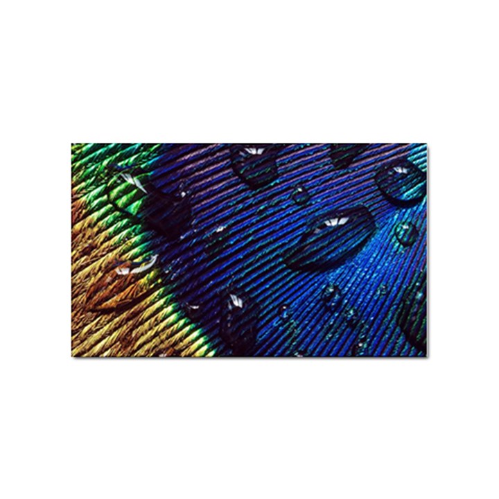 Peacock Feather Retina Mac Sticker Rectangular (10 pack)