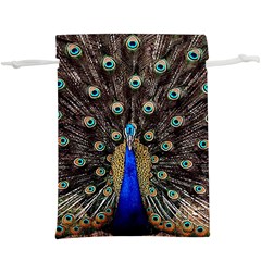 Peacock Lightweight Drawstring Pouch (xl) by Ket1n9