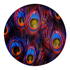 Pretty Peacock Feather Round Glass Fridge Magnet (4 Pack) by Ket1n9