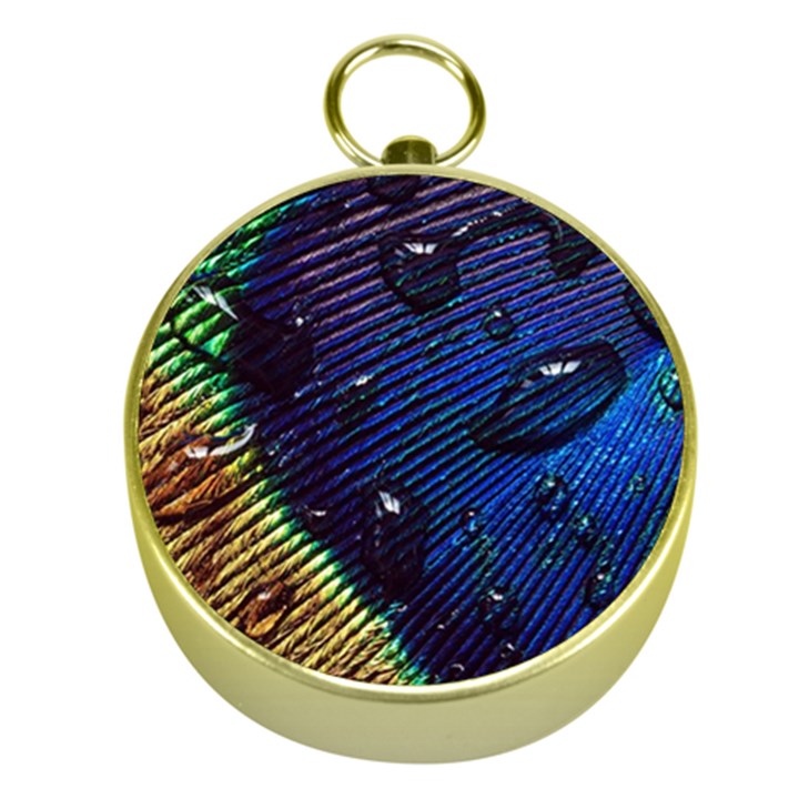 Peacock Feather Retina Mac Gold Compasses