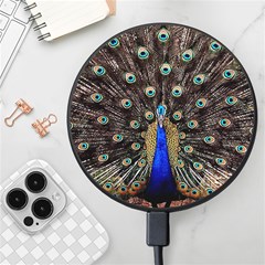 Peacock Wireless Fast Charger(black) by Ket1n9