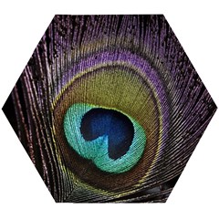 Peacock Feather Wooden Puzzle Hexagon by Ket1n9