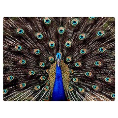 Peacock Two Sides Premium Plush Fleece Blanket (extra Small) by Ket1n9