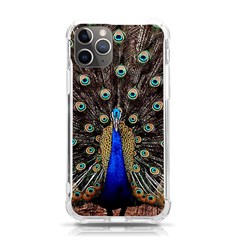 Peacock Iphone 11 Pro 5 8 Inch Tpu Uv Print Case by Ket1n9