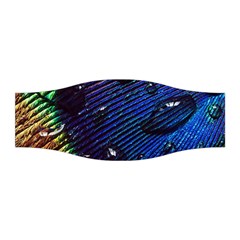 Peacock Feather Retina Mac Stretchable Headband by Ket1n9