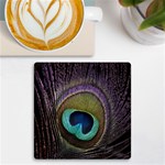 Peacock Feather UV Print Square Tile Coaster  Front