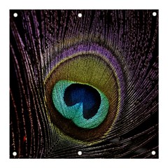 Peacock Feather Banner And Sign 3  X 3  by Ket1n9