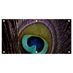 Peacock Feather Banner And Sign 4  X 2  by Ket1n9