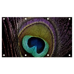 Peacock Feather Banner And Sign 7  X 4  by Ket1n9