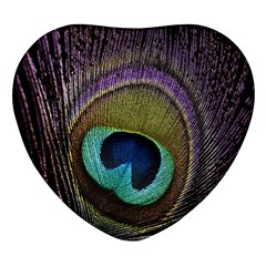 Peacock Feather Heart Glass Fridge Magnet (4 Pack) by Ket1n9